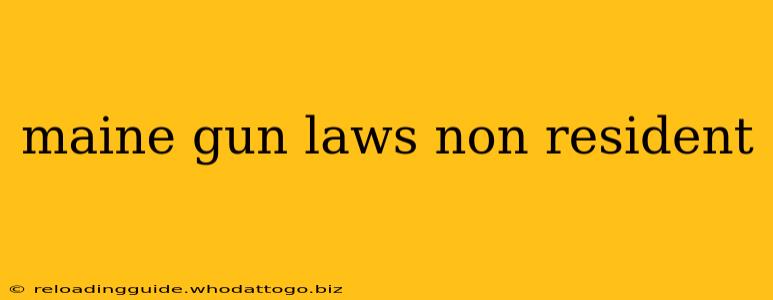 maine gun laws non resident