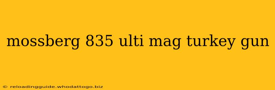 mossberg 835 ulti mag turkey gun