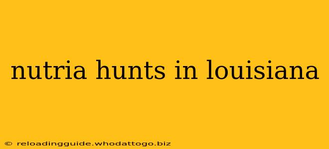 nutria hunts in louisiana