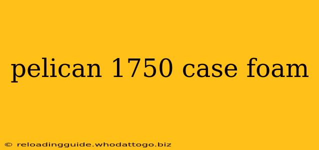 pelican 1750 case foam