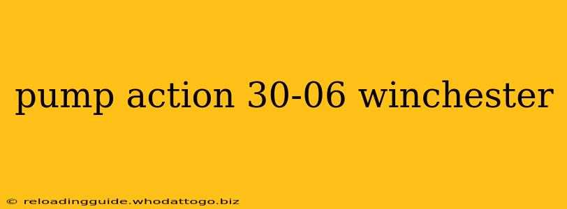 pump action 30-06 winchester