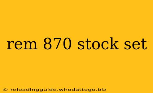 rem 870 stock set