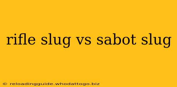 rifle slug vs sabot slug