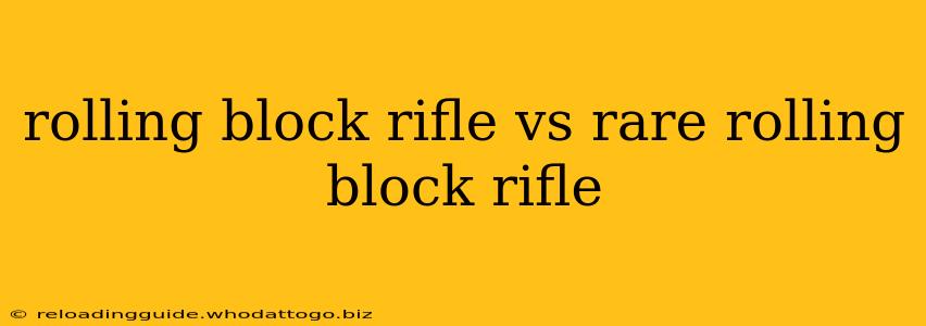 rolling block rifle vs rare rolling block rifle