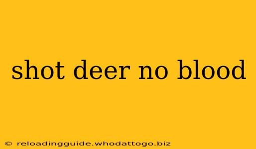 shot deer no blood