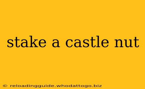 stake a castle nut