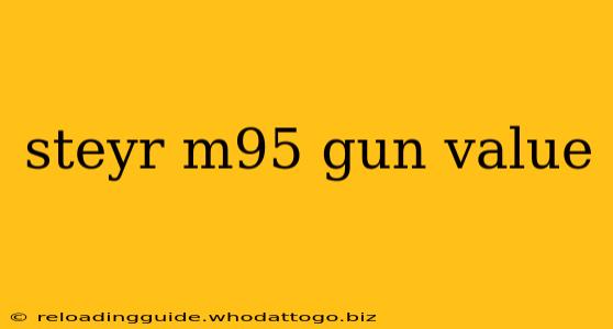 steyr m95 gun value