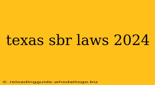 texas sbr laws 2024