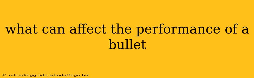 what can affect the performance of a bullet