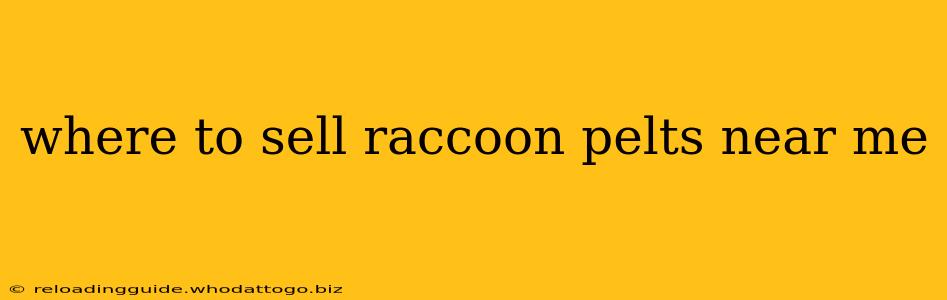 where to sell raccoon pelts near me