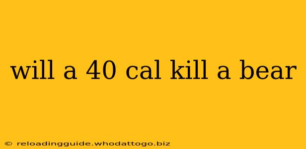 will a 40 cal kill a bear