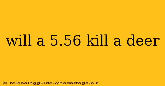 will a 5.56 kill a deer