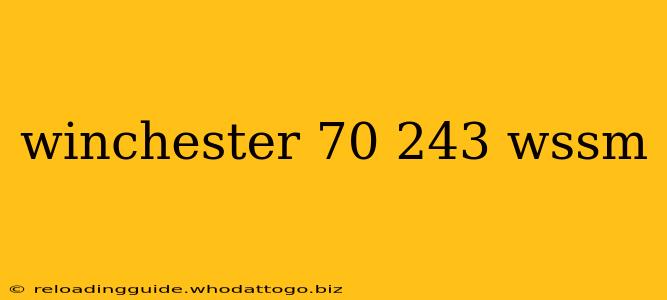 winchester 70 243 wssm