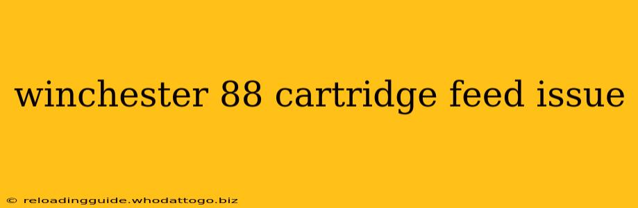 winchester 88 cartridge feed issue